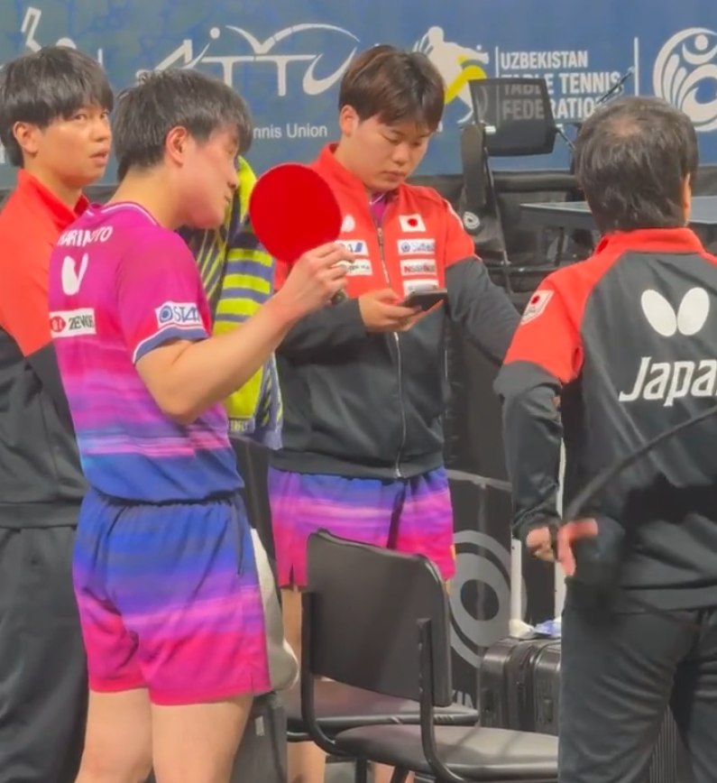 专业bevictor伟德官网服务
