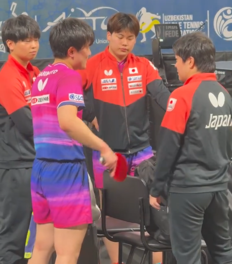 了解bevictor伟德